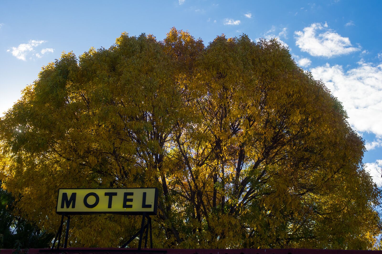 Nikon D3S sample photo. Motel, travel, accommodation photography