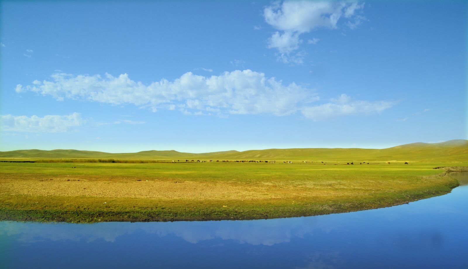Nikon D3100 sample photo. A bird's eye view photography