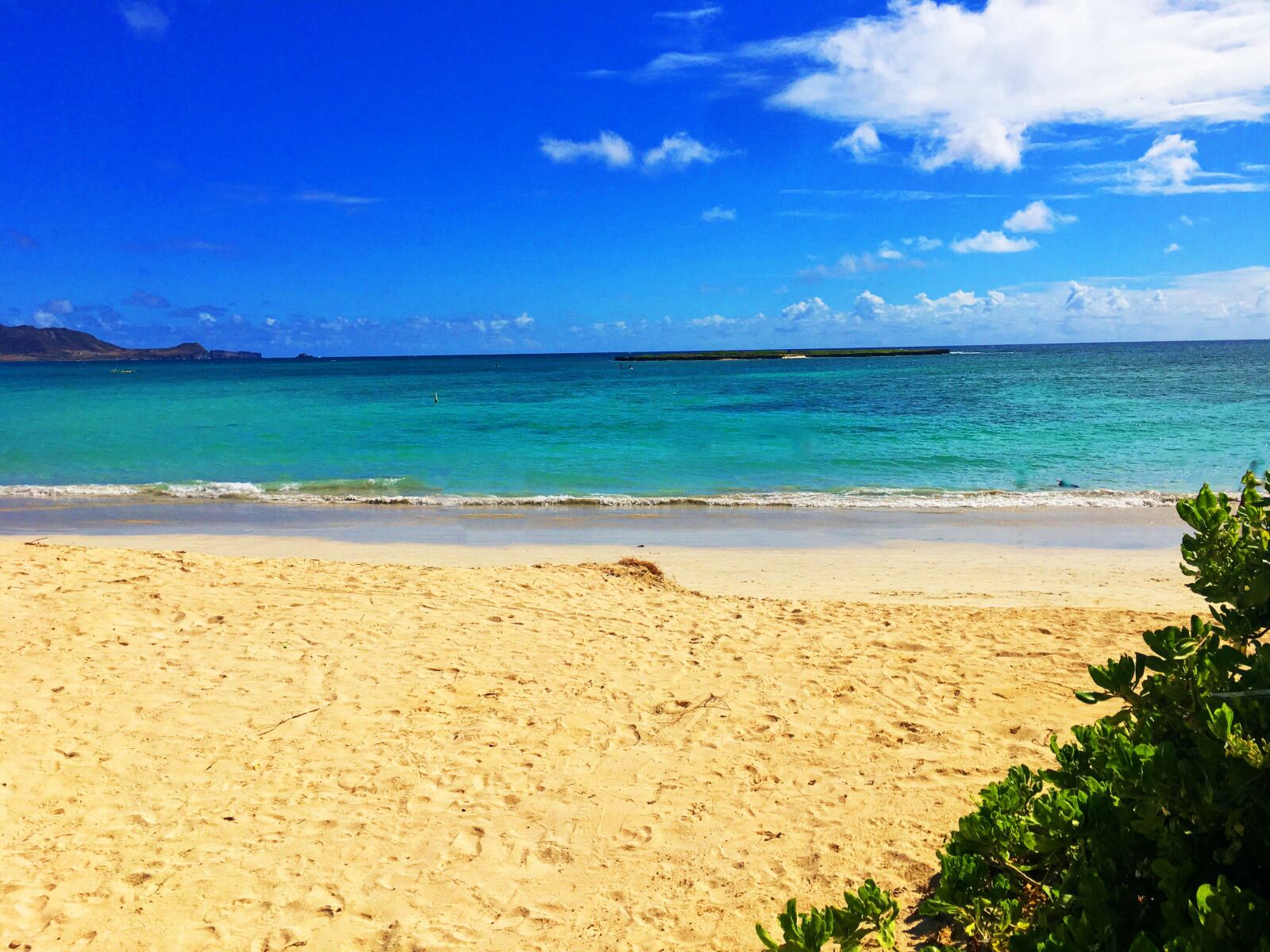 iPhone 6s Plus back camera 4.15mm f/2.2 sample photo. Kailua, beach, hawaii photography