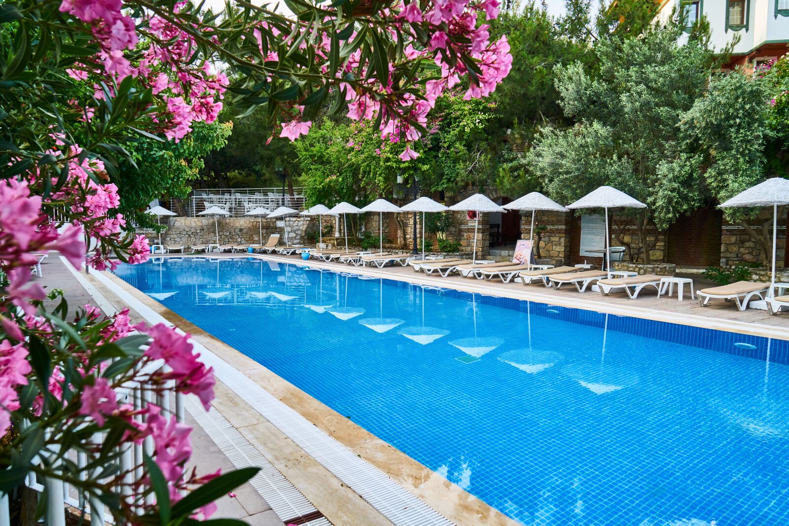 Sony a7R II sample photo. Pool, swim, hotel photography