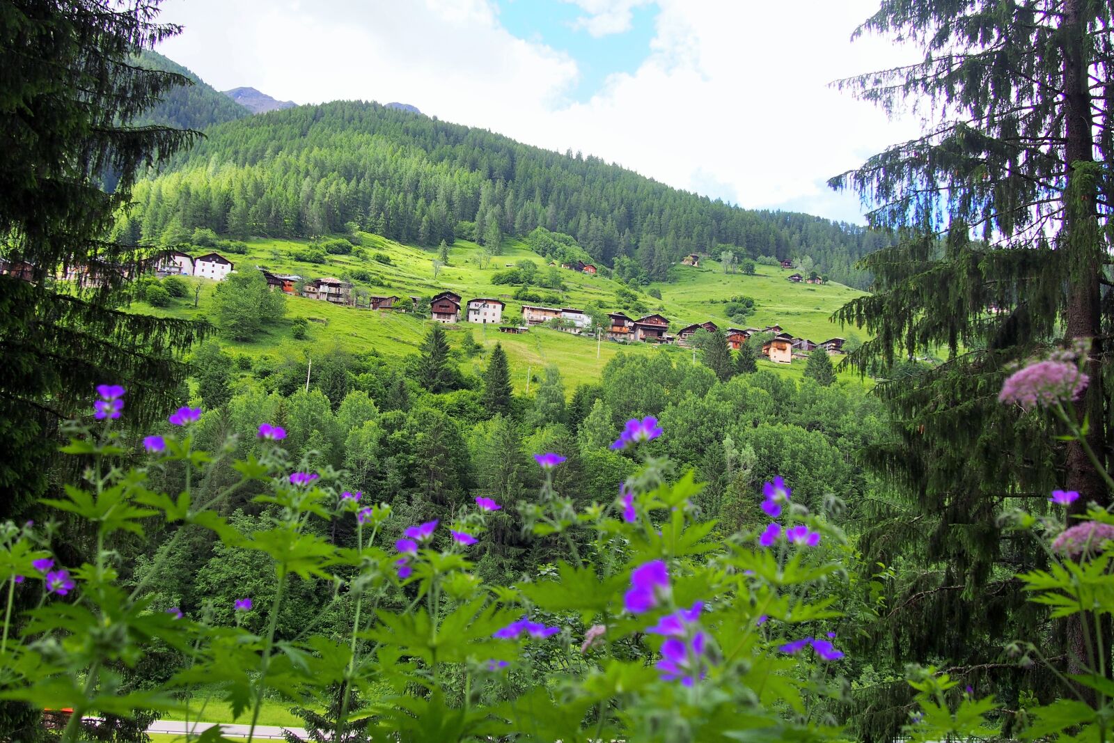 Olympus PEN E-PL6 sample photo. Holiday, mountains, nature photography
