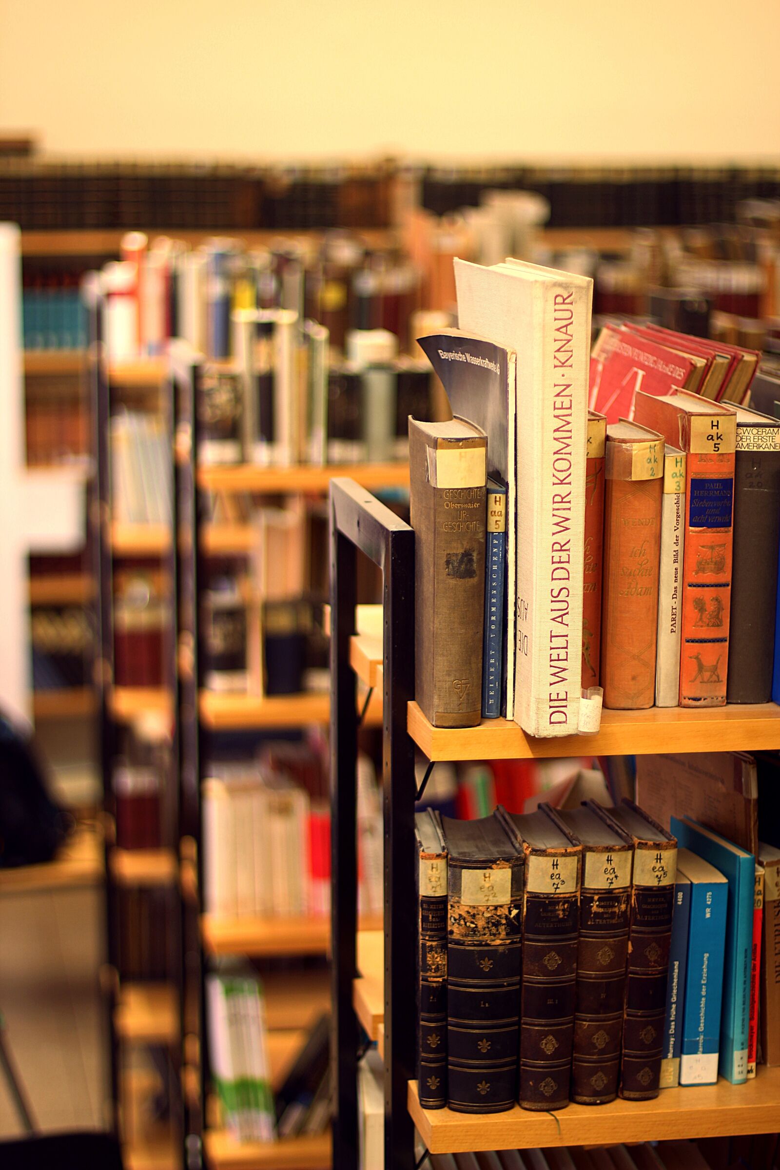 Canon EOS 600D (Rebel EOS T3i / EOS Kiss X5) + Canon EF 50mm F1.4 USM sample photo. Books, library, shelf photography