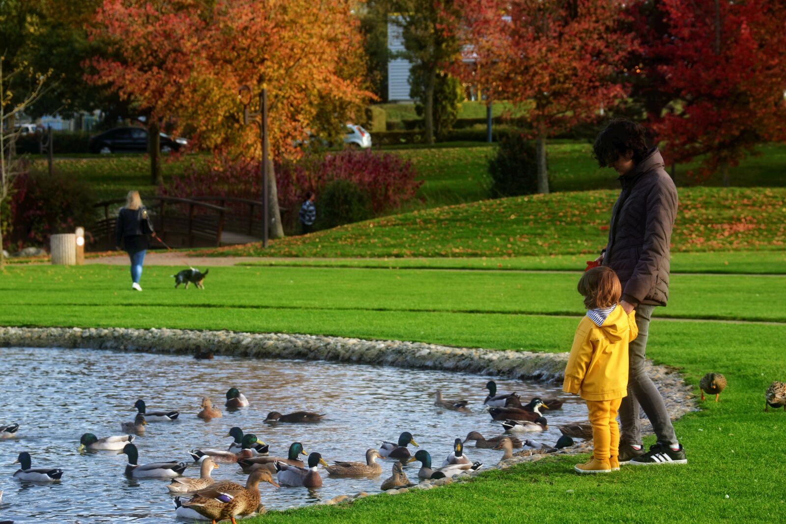 Nikon D7100 sample photo. Park, promenade, mom photography