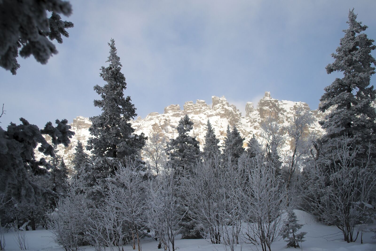 Nikon D5000 sample photo. Snow, winter, leann photography