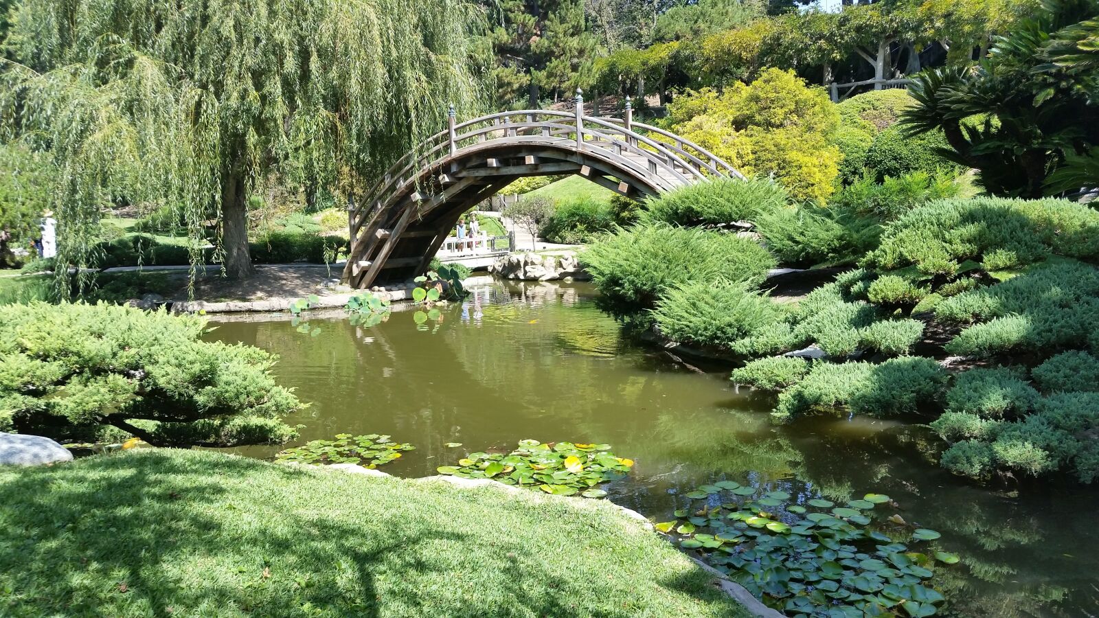 Samsung Galaxy S5 sample photo. Japanese, garden, zen photography