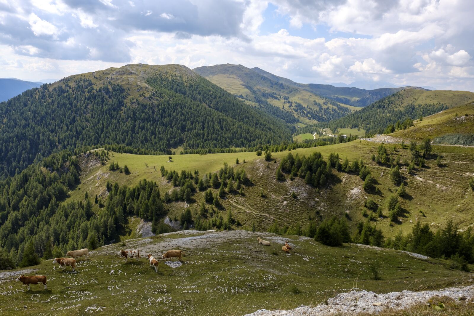 Fujifilm X-T2 + Fujifilm XF 16mm F1.4 R WR sample photo. Meadow, hill, landscape photography