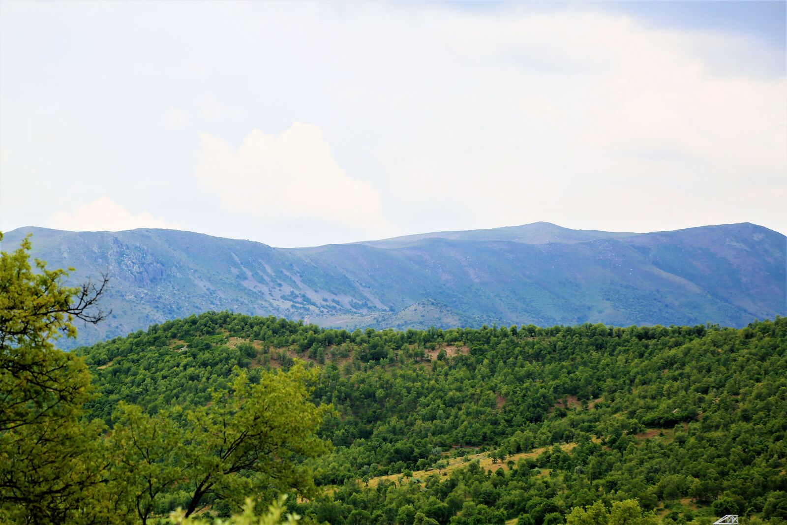 Canon EF 24-105mm F4L IS USM sample photo. Mountain, nature, forest photography