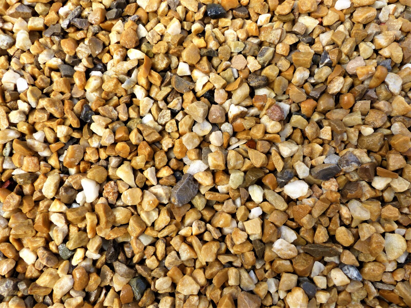 Panasonic Lumix DMC-FZ200 sample photo. Gravel, color, model photography