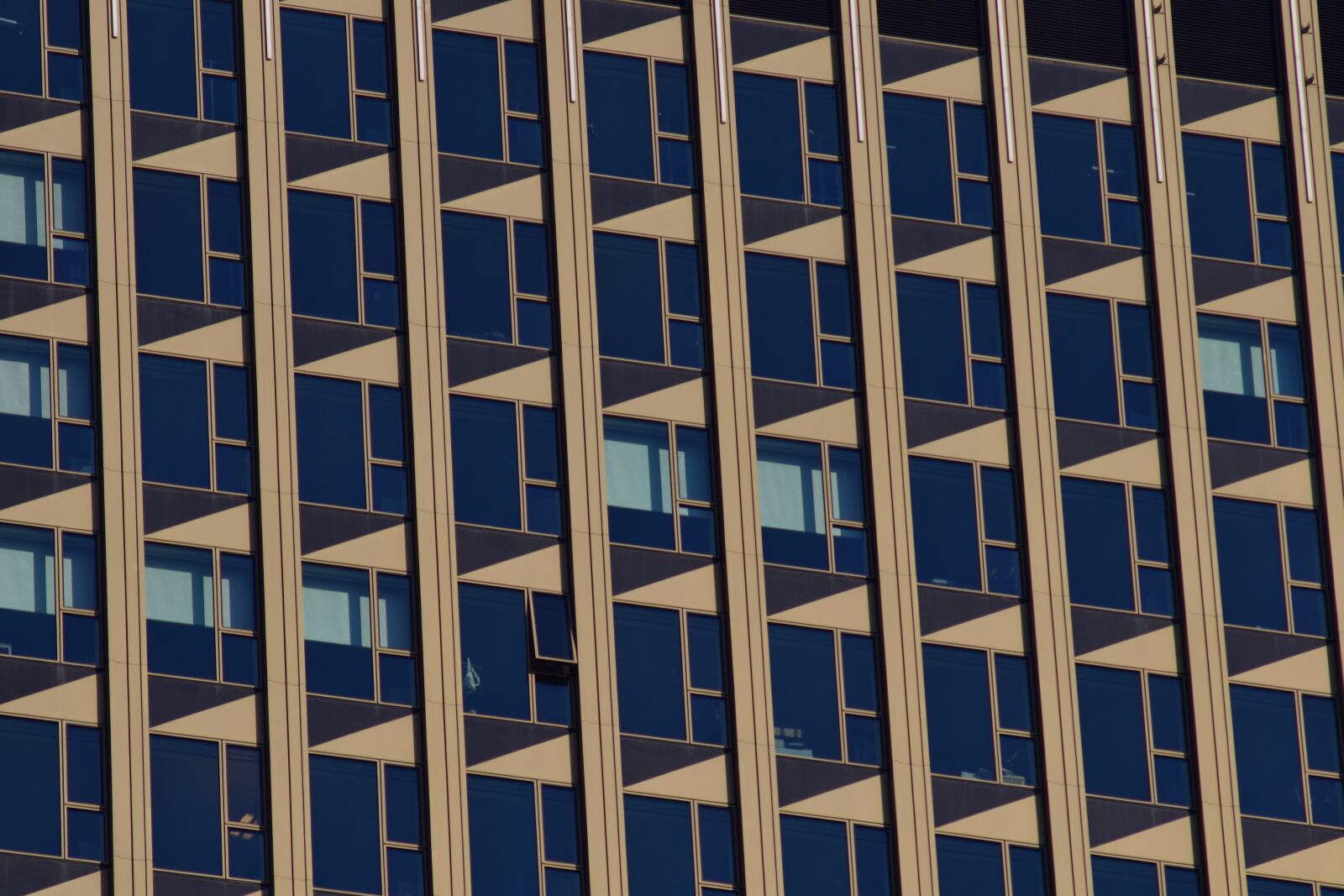 Nikon D3300 sample photo. Facade, window, architecture photography