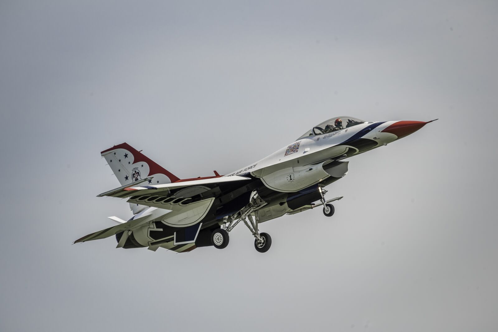 Nikon D810 sample photo. Thunderbirds, aircraft, airplanes photography