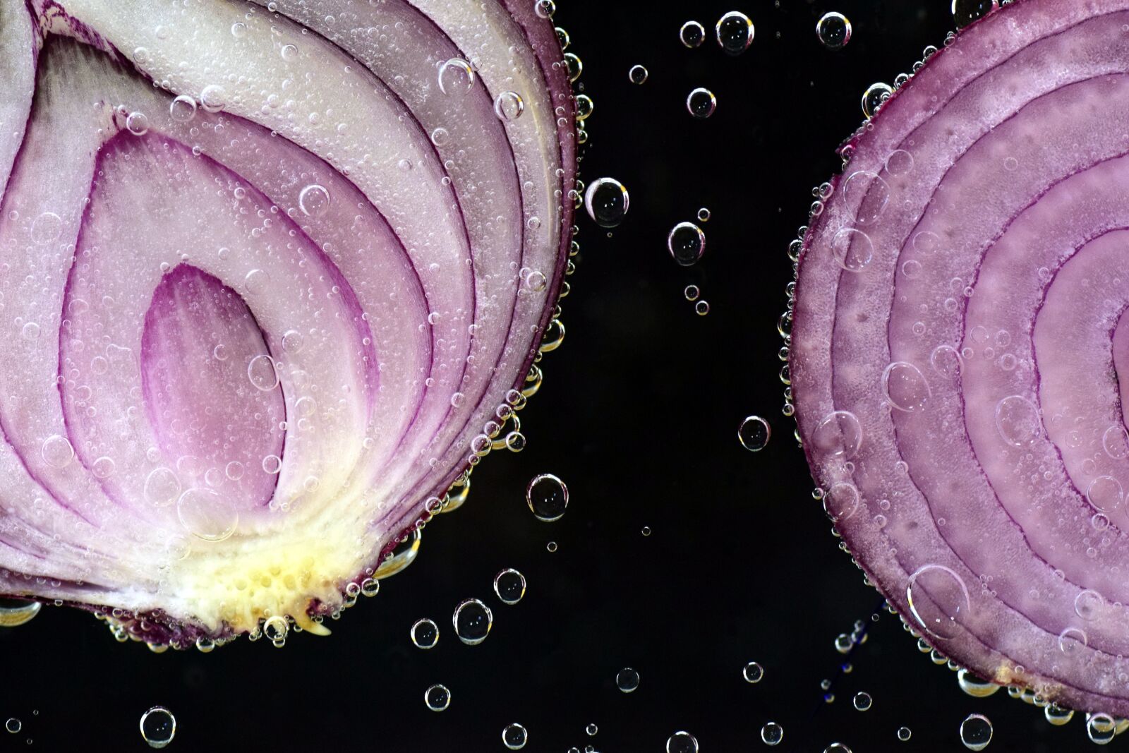 Nikon D3300 sample photo. Onion, red onion, raw photography