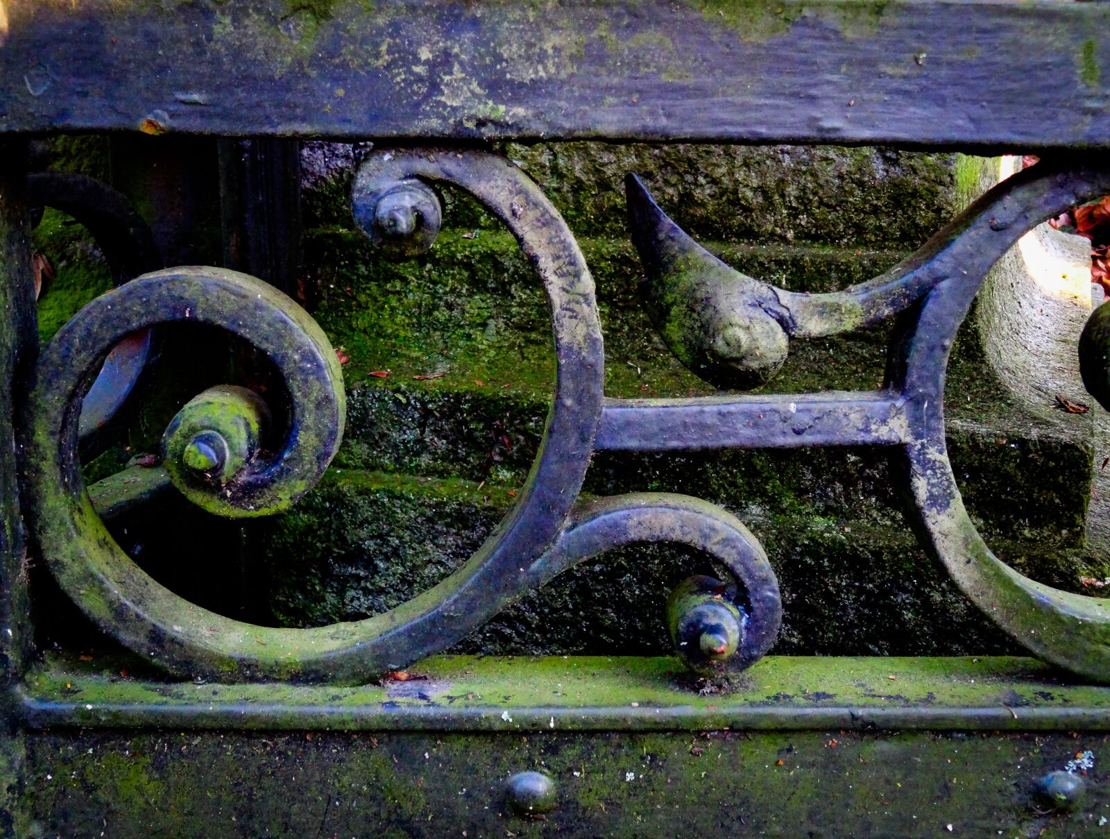 Sony Cyber-shot DSC-HX50V sample photo. Wrought iron, metal, blacksmithing photography
