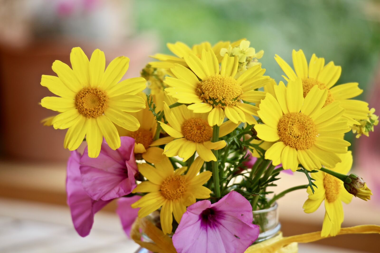 Canon EOS M sample photo. Flowers, wildflowers, spring photography