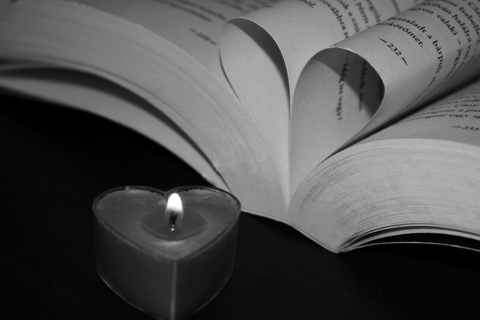 Nikon D3400 sample photo. Book, heart, candle flame photography