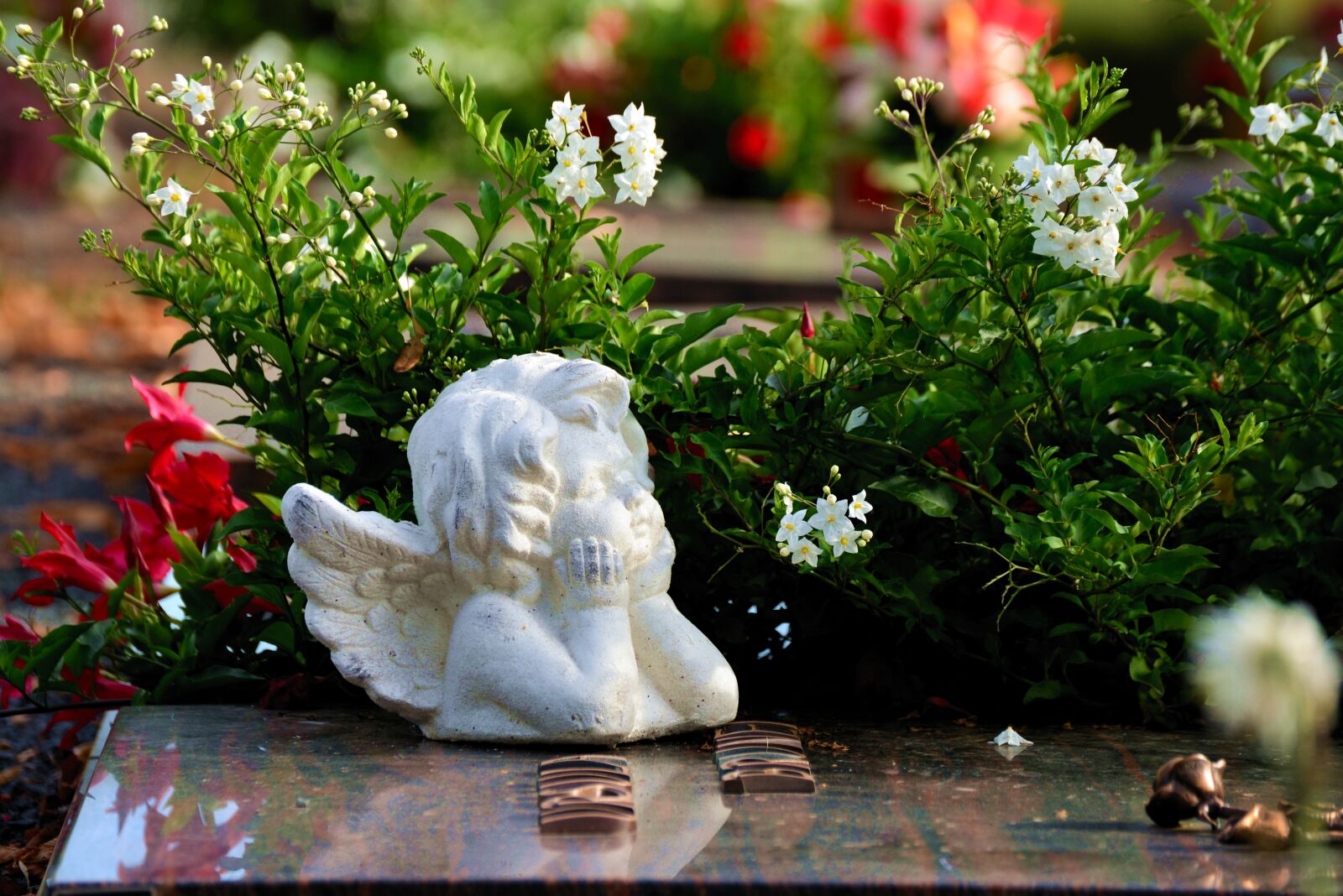 Nikon D610 sample photo. Angel, grave, cemetery photography