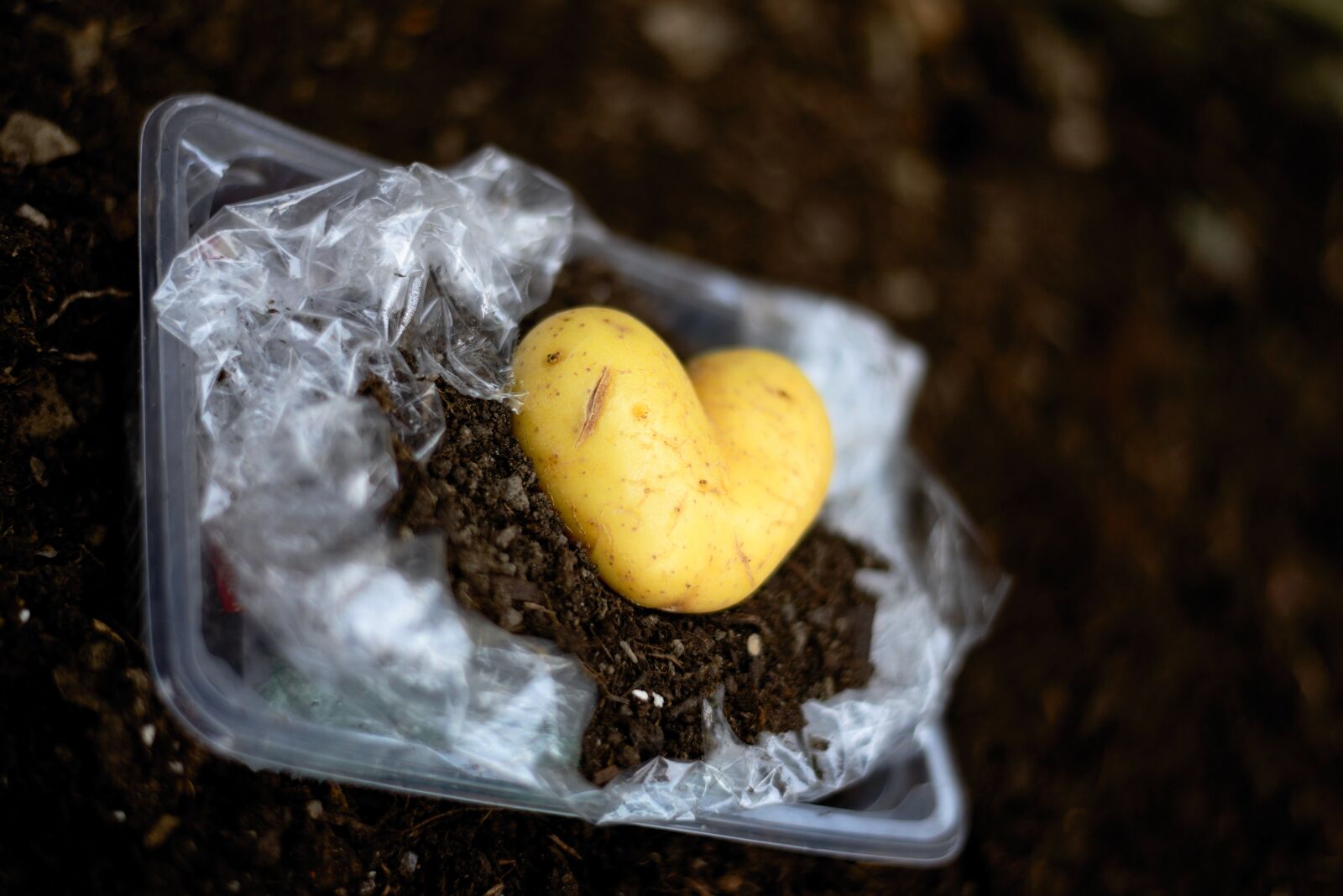 Nikon D610 sample photo. Environmental protection, plastic waste photography