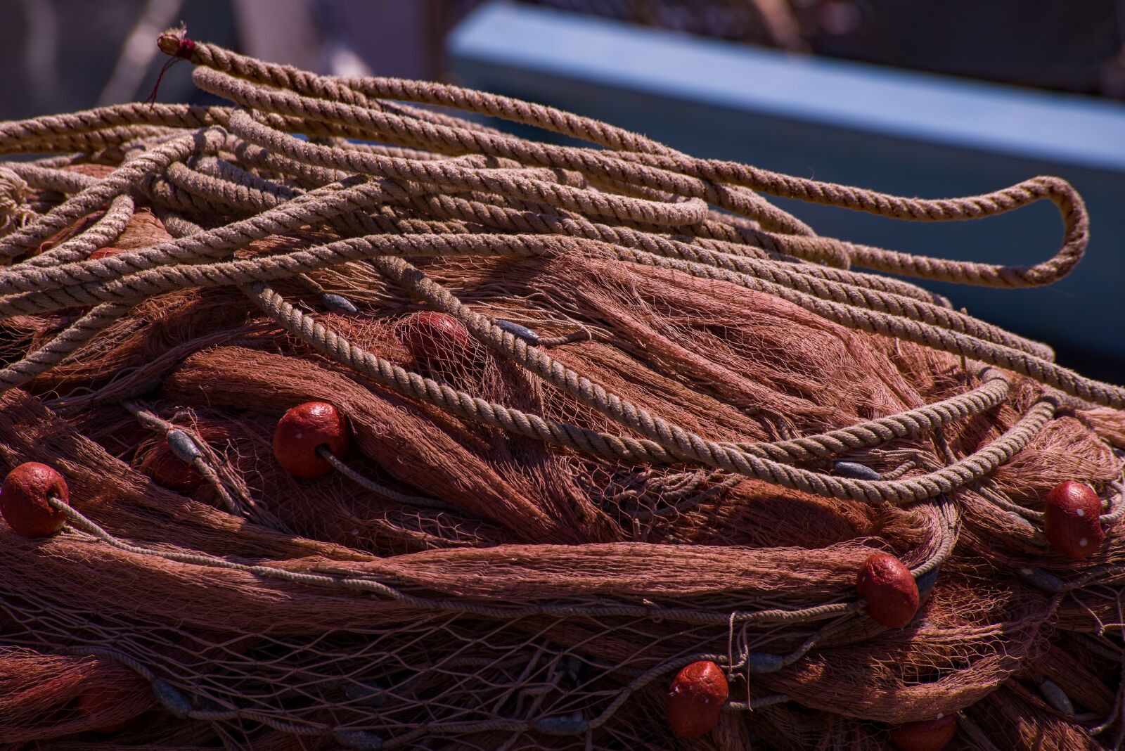 Pentax K-1 Mark II + Sigma sample photo. Rope, mooring, cord photography