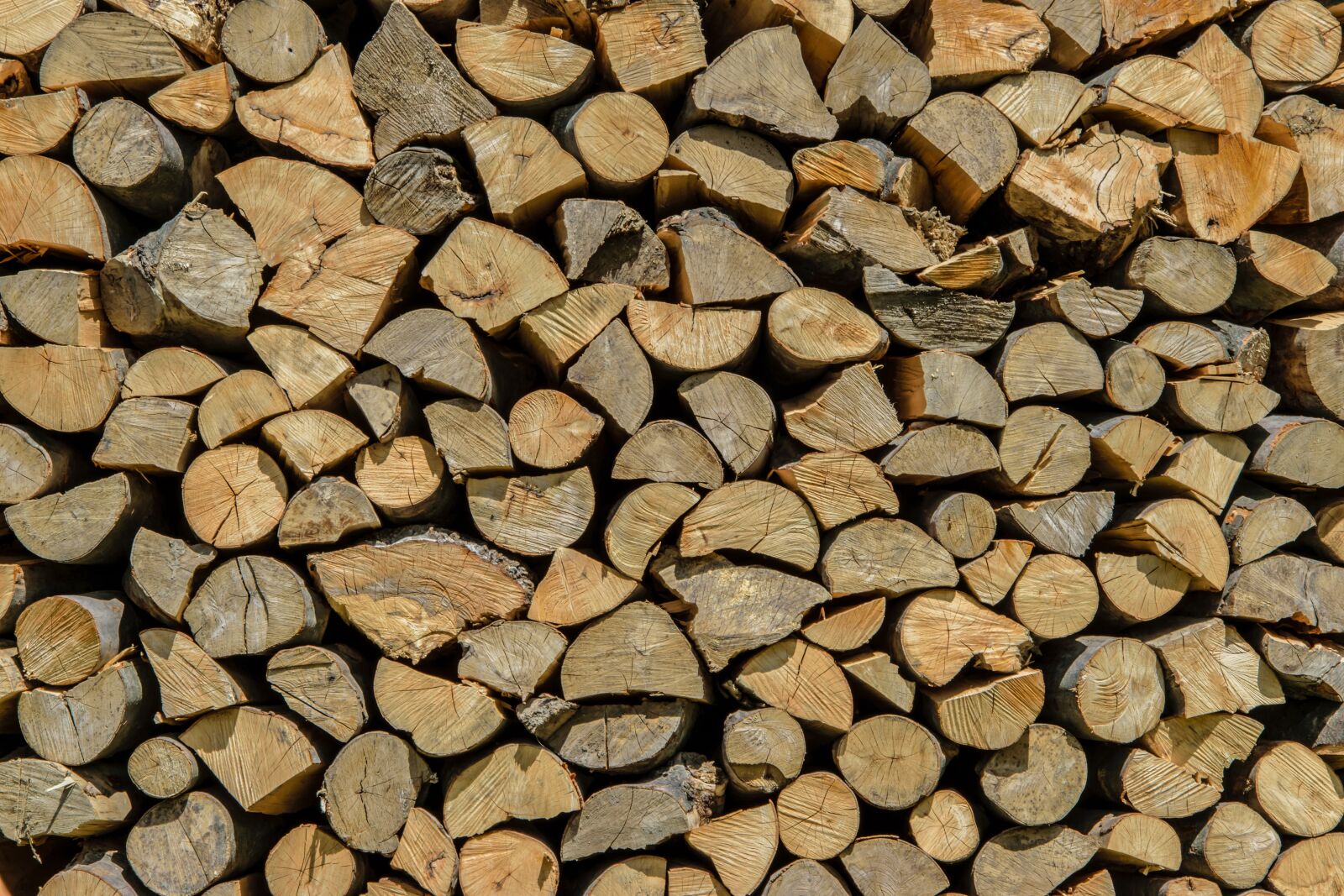 Nikon D5300 sample photo. Firewood, wood, stacked photography