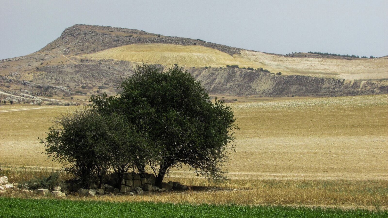 Canon PowerShot SX400 IS sample photo. Cyprus, kelia, landscape photography