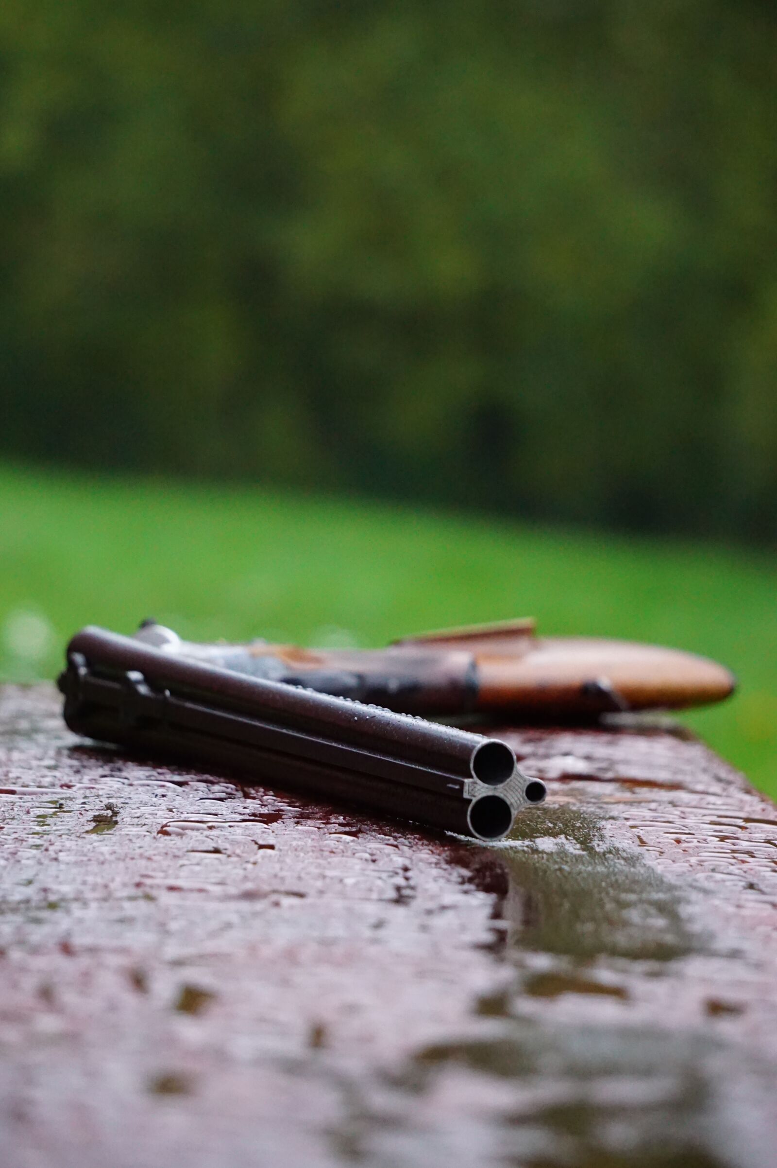 Sony E 55-210mm F4.5-6.3 OSS sample photo. Rifle, drilling, hunting photography