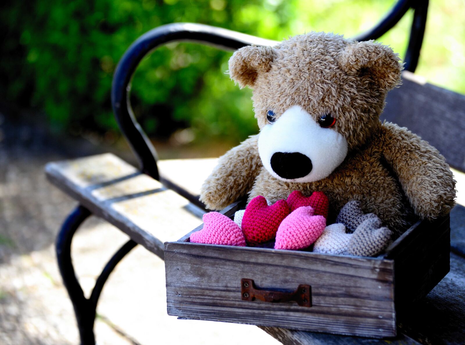Nikon D610 sample photo. Teddy, teddy bear, heart photography