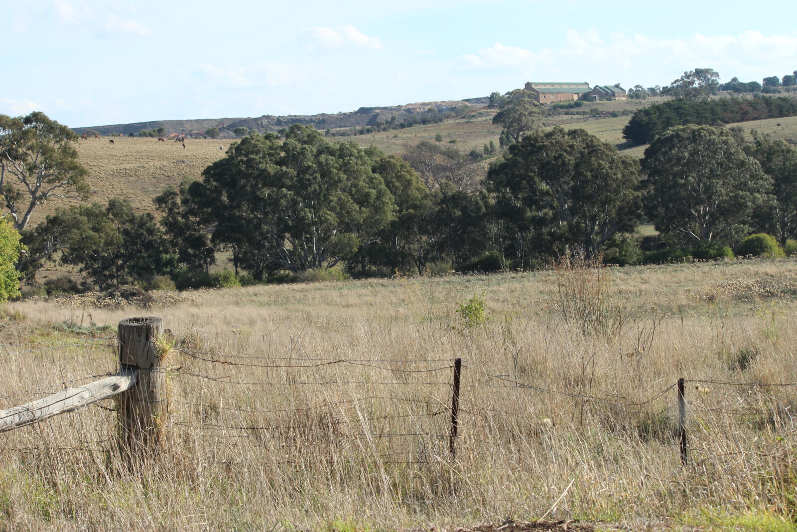 Canon EOS 600D (Rebel EOS T3i / EOS Kiss X5) sample photo. Brown, country, day, distance photography