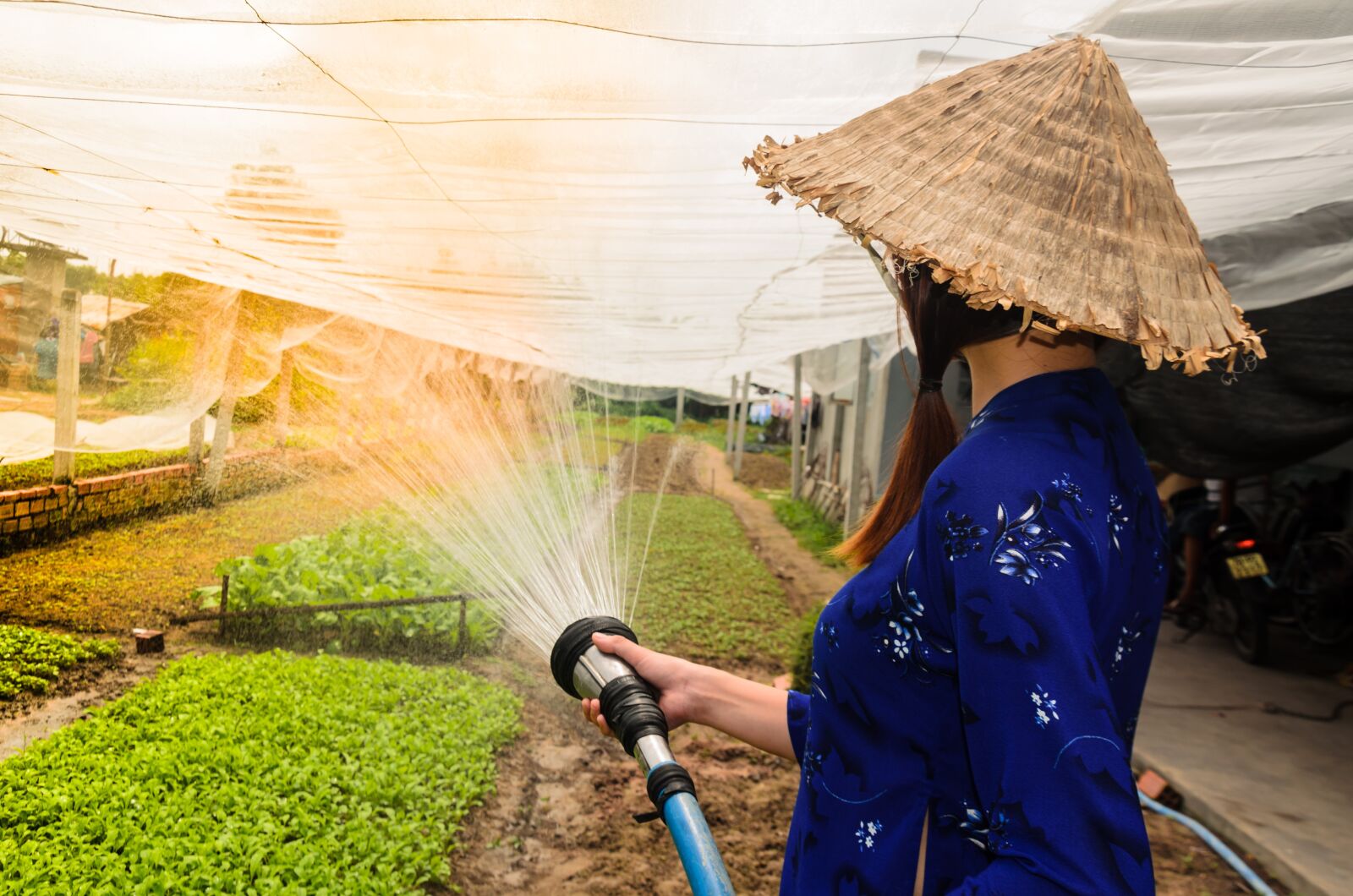 Nikon D5100 sample photo. Agriculture, care, tree photography