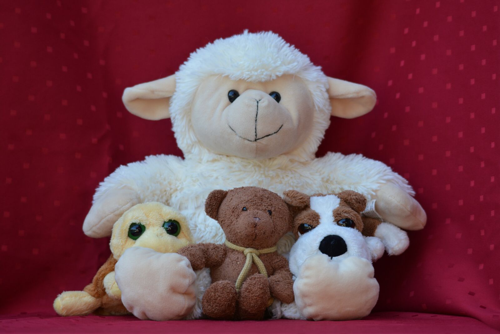 Nikon D7100 sample photo. Doudou, plush, sheep photography