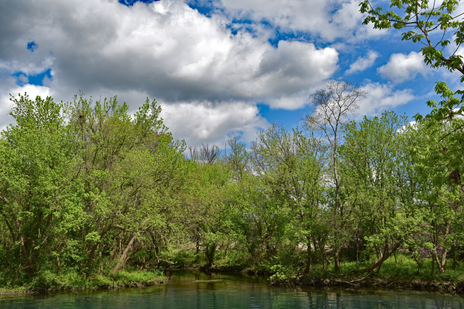 Nikon D5500 sample photo. Texas, scenic, landscape photography