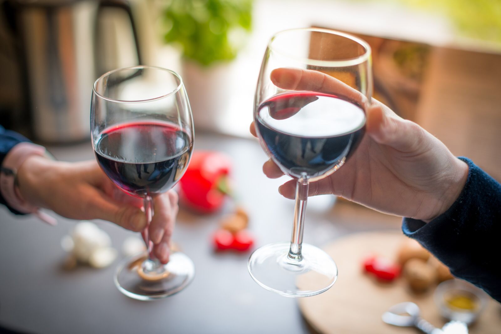 Nikon D610 sample photo. Wine, cheers, glasses photography
