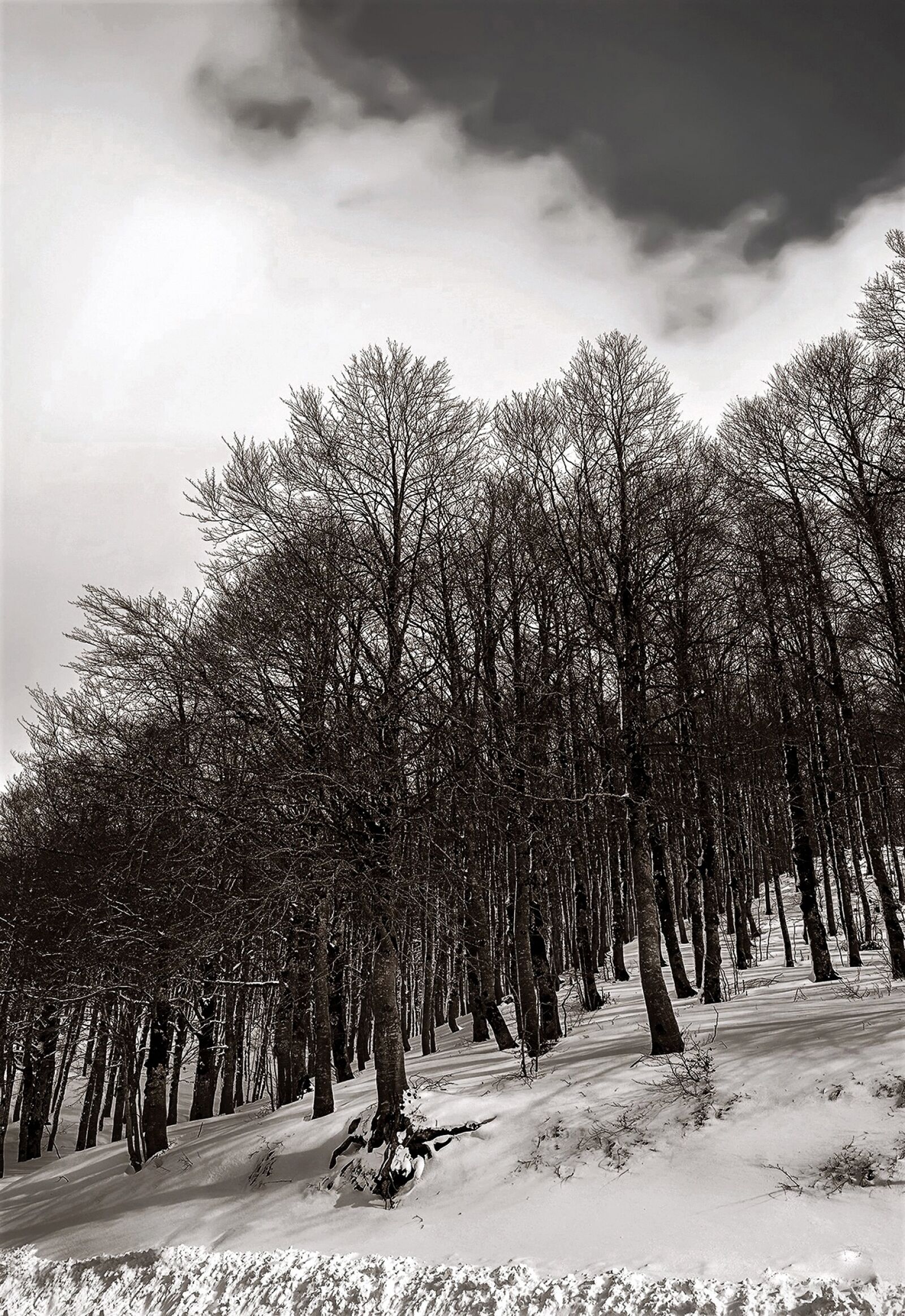 Nikon D800 sample photo. Abruzzo, lazio, national park photography