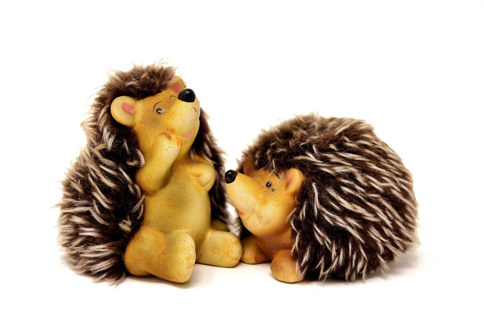 Nikon D7200 sample photo. Hedgehog, figures, funny photography
