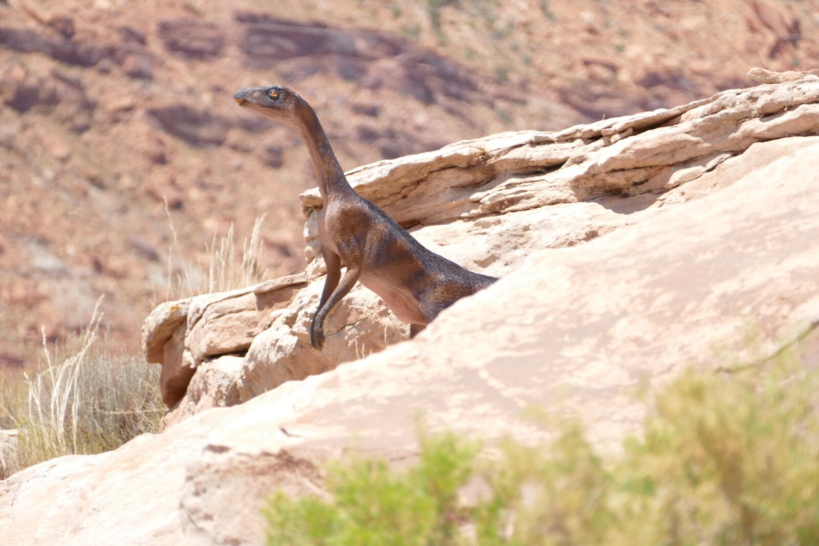 Panasonic Lumix DMC-FZ1000 sample photo. Dinosaur, utah, rock photography