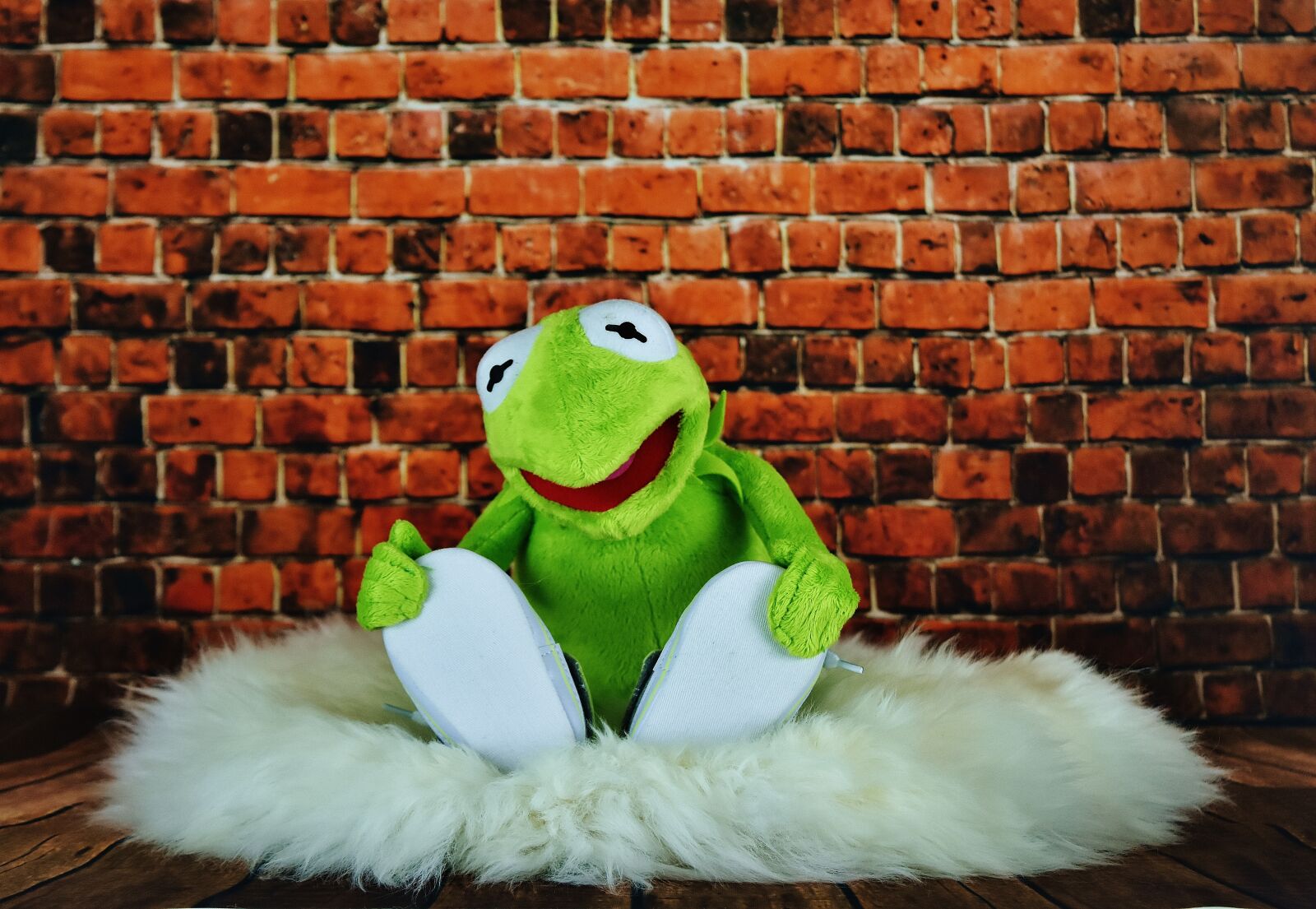 Nikon D7200 sample photo. Kermit, frog, funny photography