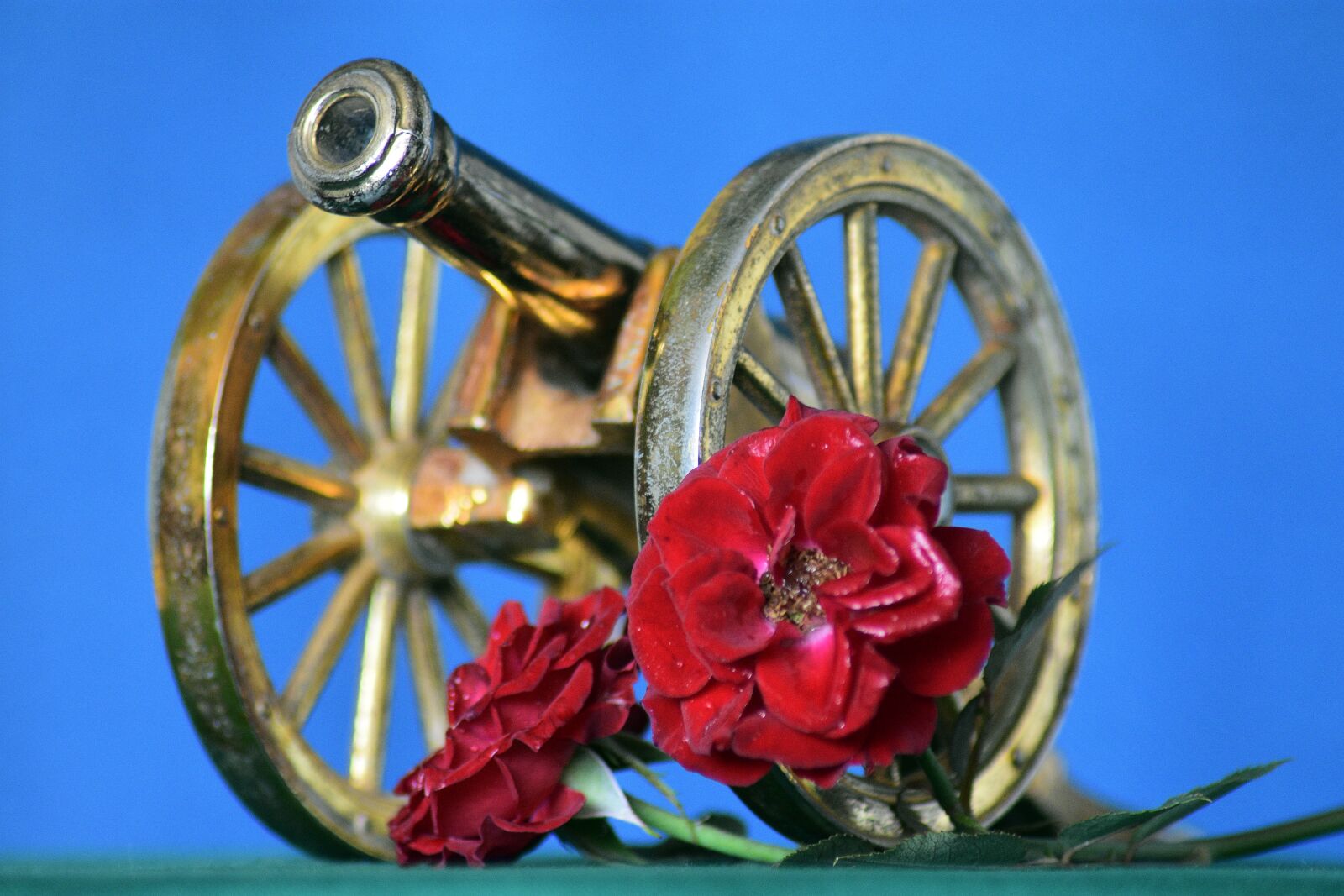 Nikon D3400 sample photo. Rose, flower, cannon photography
