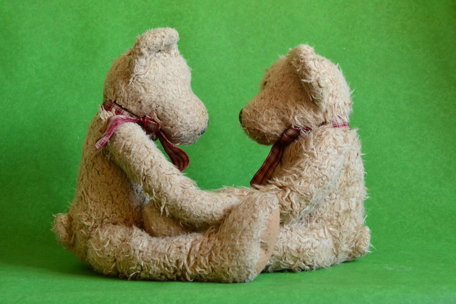 Nikon D3100 sample photo. Teds, couple, love photography