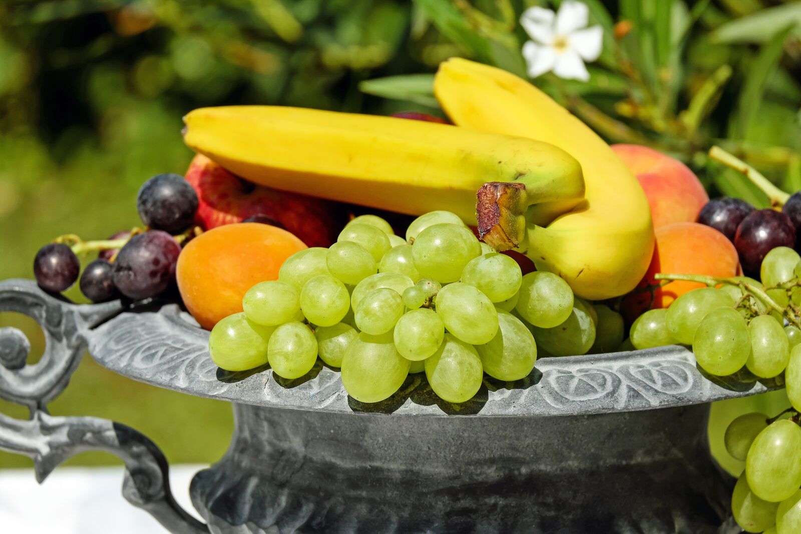 Fujifilm X-T10 + Fujifilm XC 50-230mm F4.5-6.7 OIS sample photo. Fruit bowl, shell, fruit photography