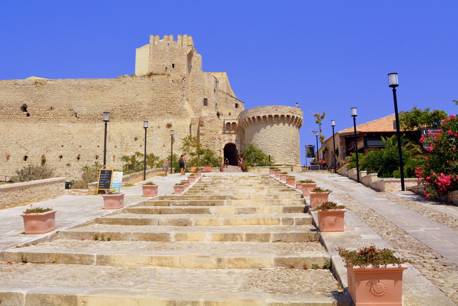 Nikon D7100 sample photo. Ascent, steps, castle photography