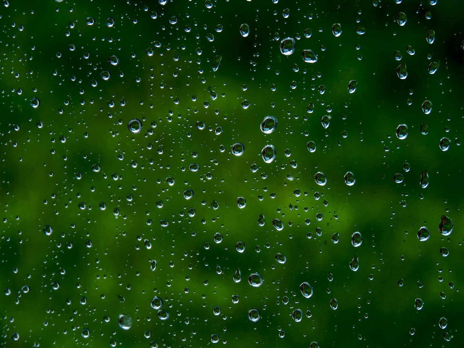Canon PowerShot SX60 HS sample photo. Drops, water, window photography