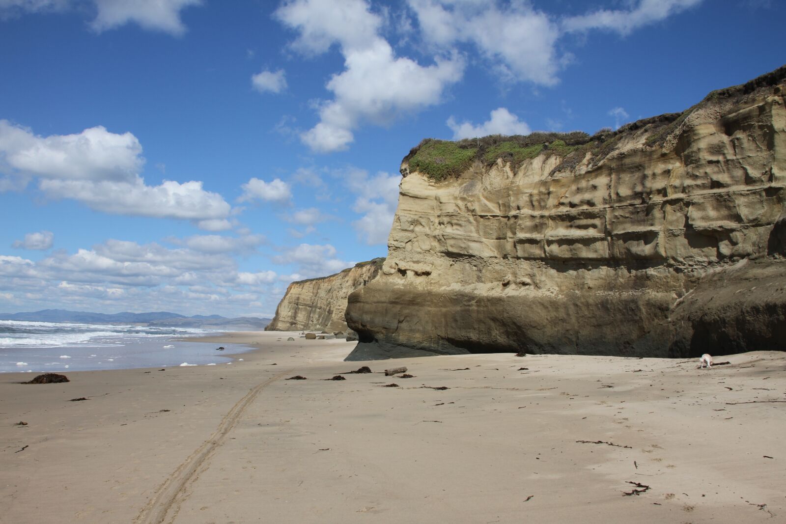 Canon EOS 7D sample photo. Beach, half moon bay photography