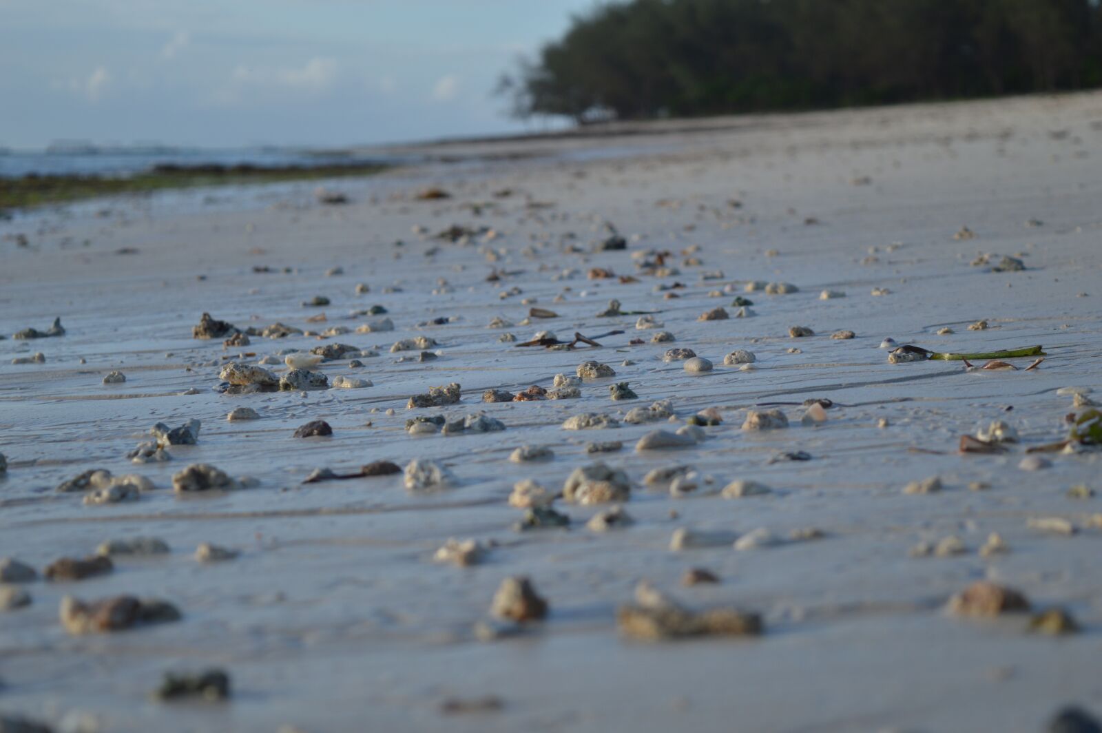 Nikon D3200 sample photo. Beach, cloudy, sea photography