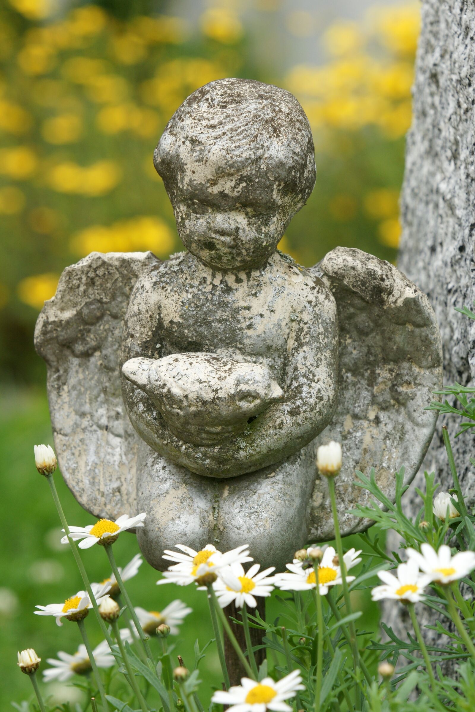 Sony Alpha DSLR-A700 sample photo. Angel, sculpture, harmony photography