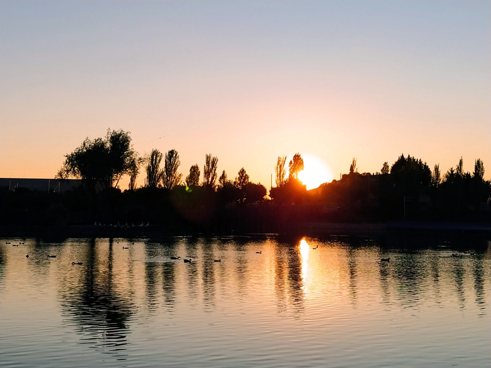 Xiaomi Mi A3 sample photo. Sunset, pond, city photography
