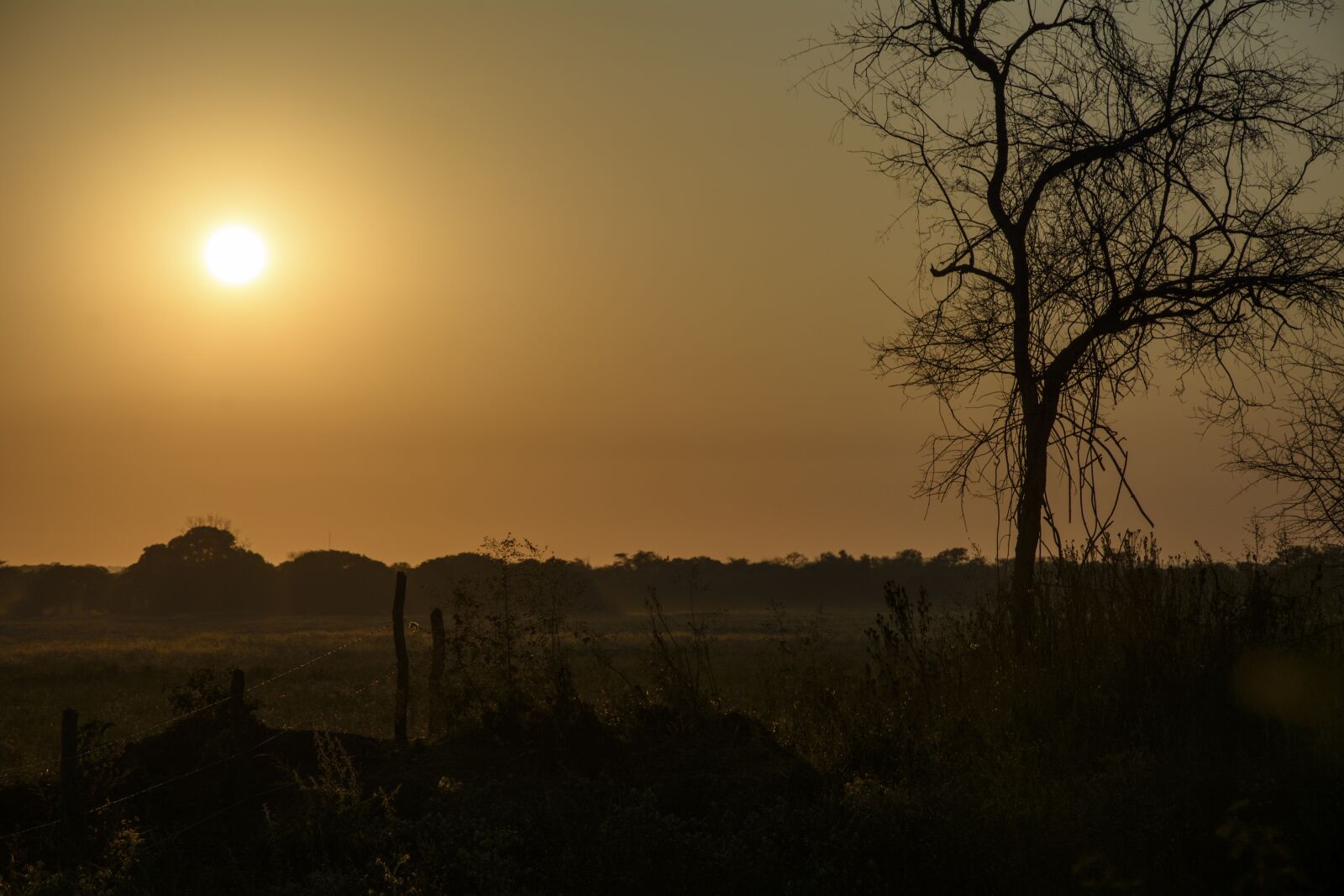 Nikon D7100 sample photo. Sun, africa, nature photography