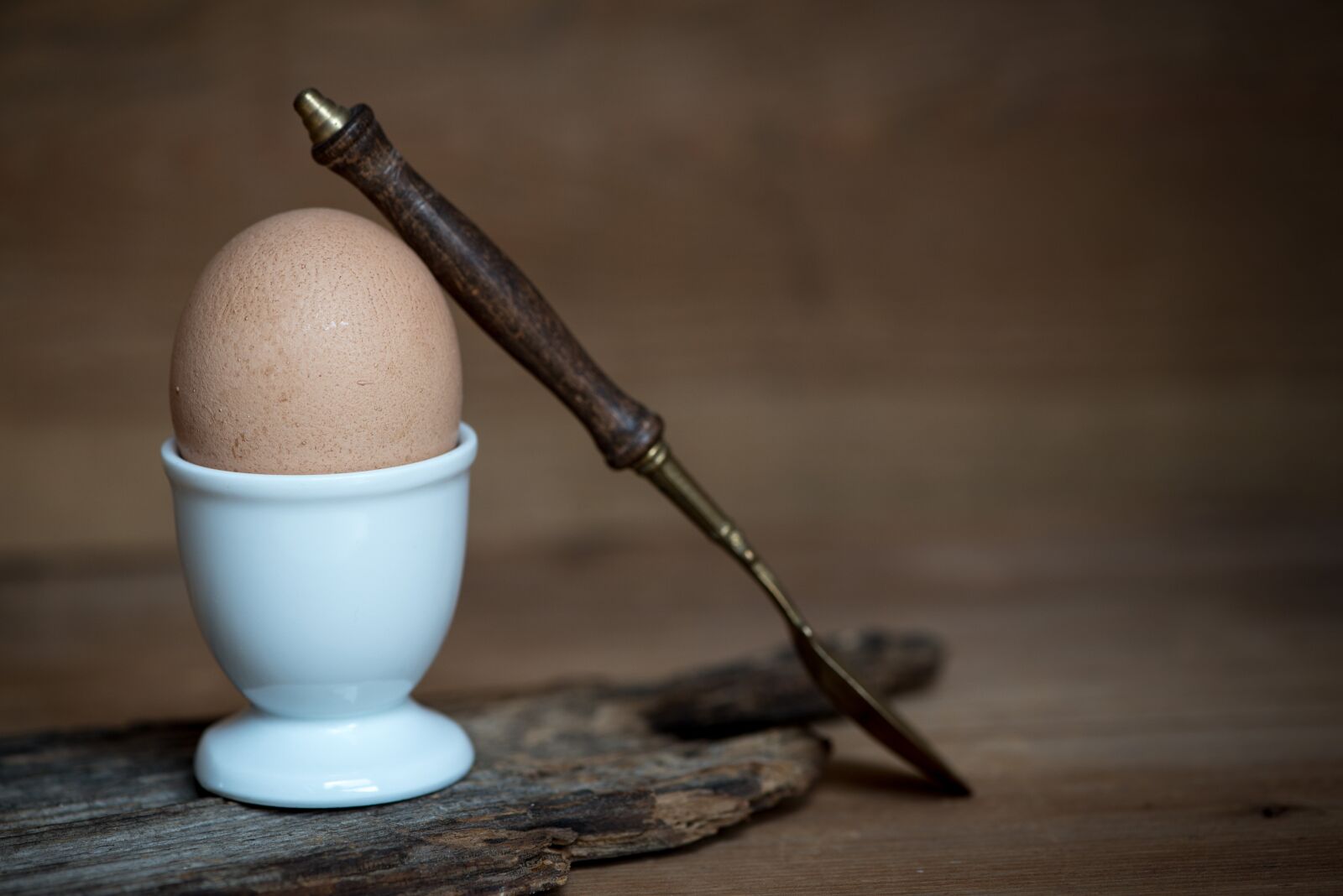 Nikon D750 sample photo. Egg, hen's egg, brown photography