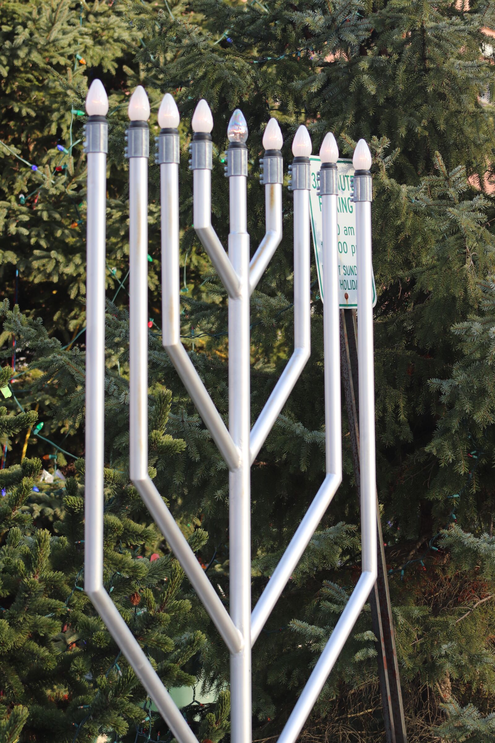 Canon EOS 800D (EOS Rebel T7i / EOS Kiss X9i) sample photo. Jewish, hanukkah, judaism photography