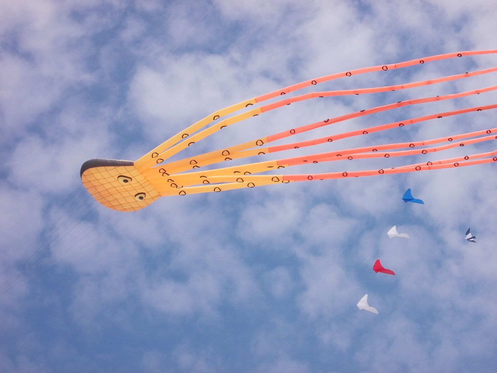 Nikon COOLPIX L25 sample photo. Kite, wind, bray-dunes photography