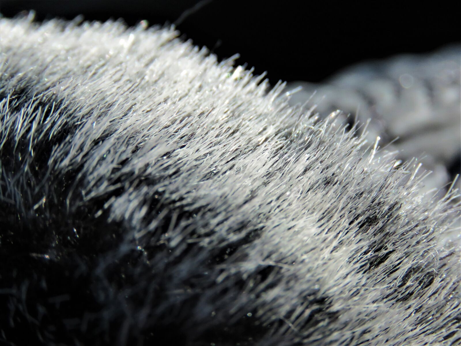 Canon PowerShot SX60 HS sample photo. Fur, fake fur, mitten photography