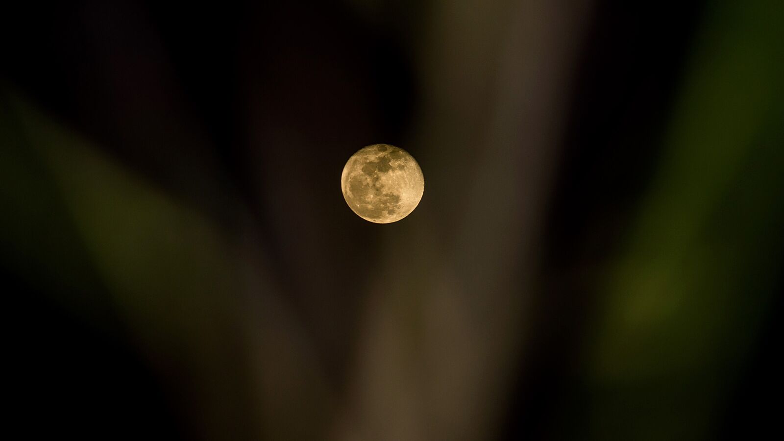 Canon EOS 70D + Canon EF 70-200mm F4L USM sample photo. Moon, fullmoon, night photography