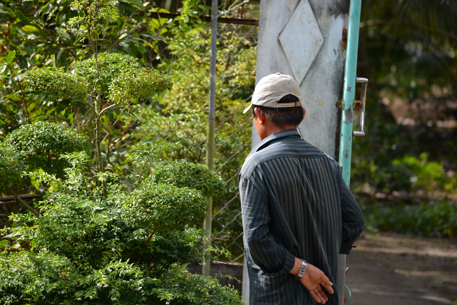 Nikon D7100 sample photo